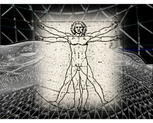 vitruvian3