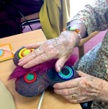 Tangible Memories project with older adults in care home settings - creating sensory objects.